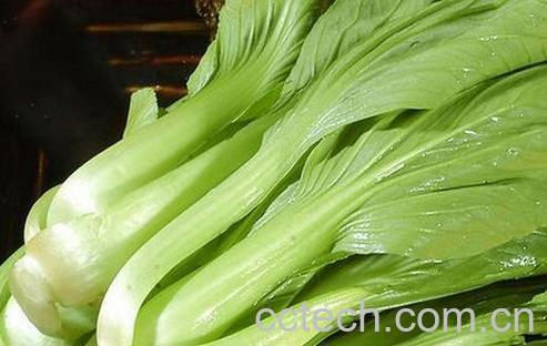 果蔬百科油菜的食用禁忌与注意事项-0