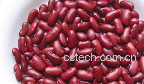 果蔬百科怎么挑选芸豆 -0