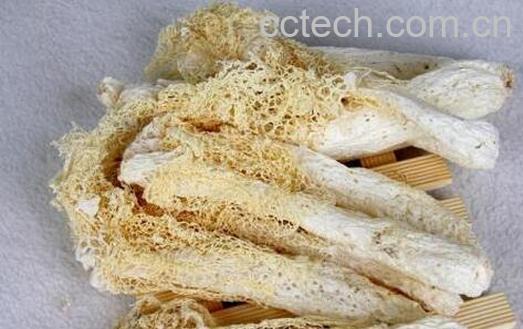 果蔬百科竹荪的功效与作用-0