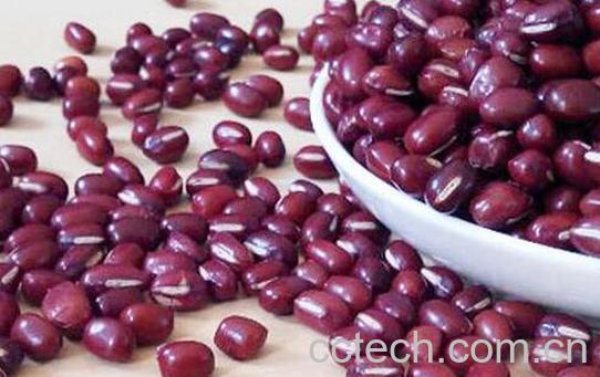 果蔬百科赤小豆的食用禁忌 -0