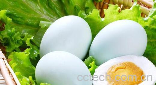 果蔬百科哪些人不能吃鸭蛋-0