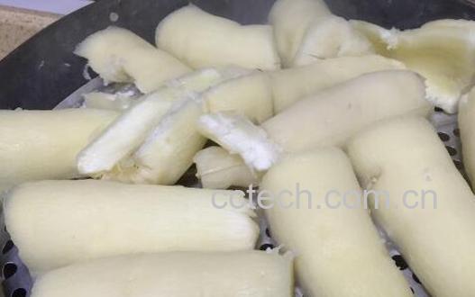 果蔬百科木薯是什么 木薯怎么吃好-0