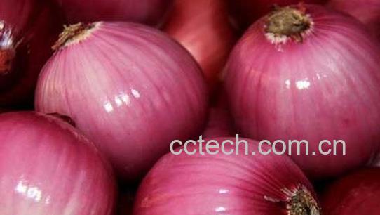 果蔬百科葱头的功效与作用-0