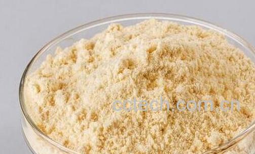 果蔬百科黄瓜籽粉的功效与作用-0