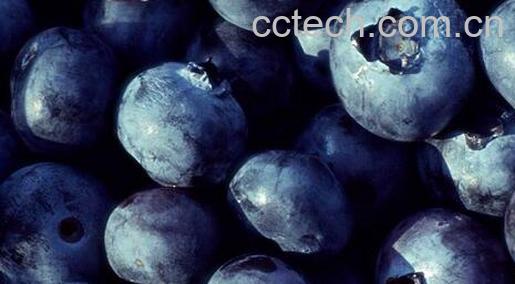 果蔬百科吃什么对眼睛好-0