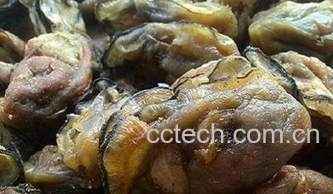 果蔬百科蚝干的功效与作用-0