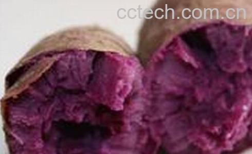 果蔬百科吃紫薯的禁忌与注意事项-0