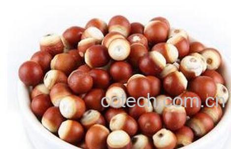 果蔬百科鸡头米的营养价值与功效-0