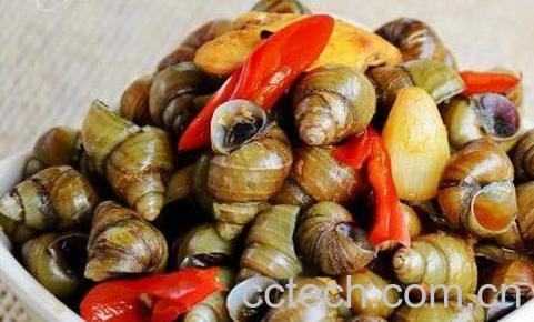 果蔬百科田螺不能和什么一起吃-0