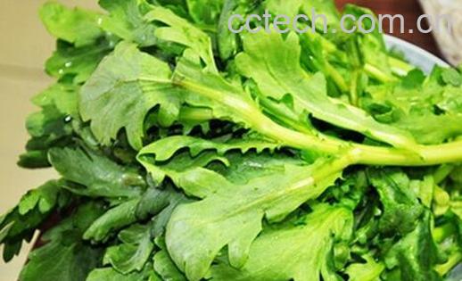 果蔬百科茼蒿的营养价值与功效-0