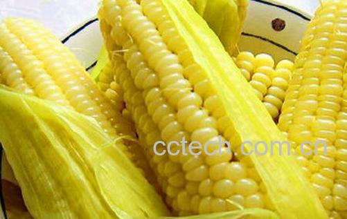 果蔬百科鲜玉米的功效与作用-0