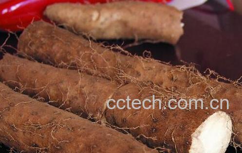 果蔬百科山药过敏时怎样才能止痒-0