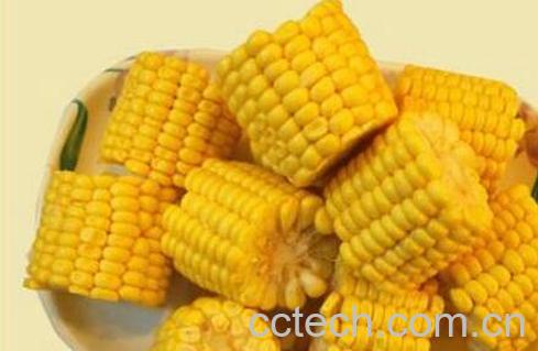 果蔬百科鲜玉米的营养价值与功效-0