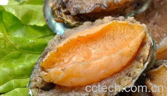 果蔬百科珍珠鲍鱼与鲍鱼的区别-0