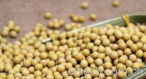 果蔬百科哪些食物中含有大豆异黄酮-0