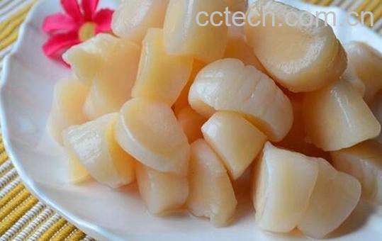 果蔬百科鲜贝的食用禁忌与注意事项-0