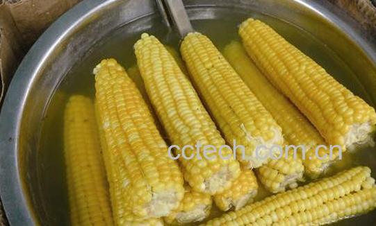 果蔬百科煮玉米需要多长时间-0
