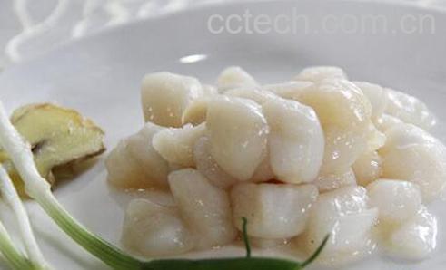 果蔬百科鲜贝的功效与作用-0