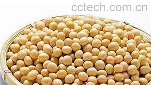 果蔬百科大豆异黄酮的功效与作用-0