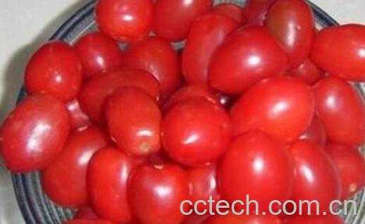 果蔬百科抗辐射的食物有哪些-0