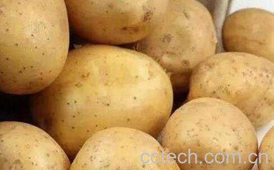 果蔬百科土豆怎么保存-0