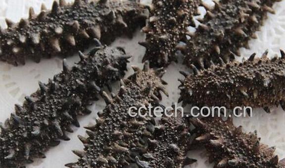 果蔬百科如何挑选干海参-0