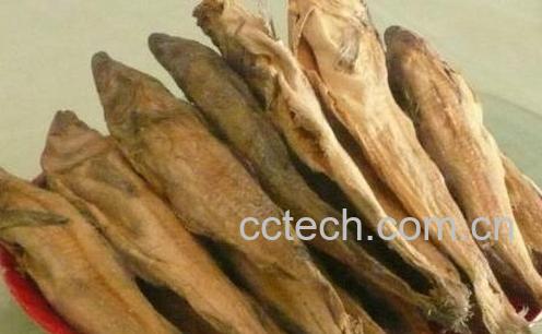 果蔬百科柴鱼的营养价值 吃柴鱼的好处-0