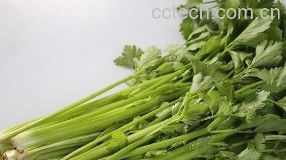 果蔬百科哪些蔬菜生吃效果好-0