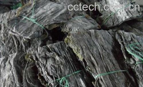 果蔬百科干海带的功效与作用-0