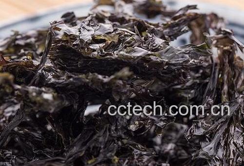 果蔬百科紫菜的药用功效与用法-0