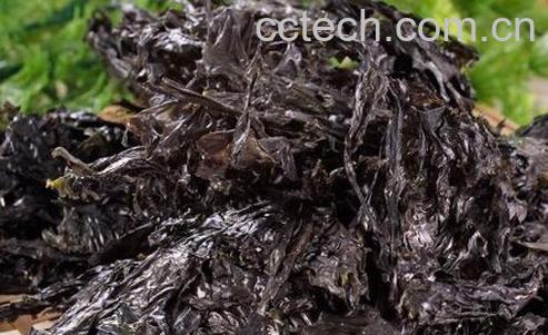 果蔬百科吃紫菜的好处有哪些-0