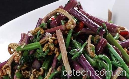 果蔬百科蕨菜的药用价值与用法-0