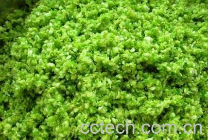 果蔬百科吃韭菜花的好处有哪些-0