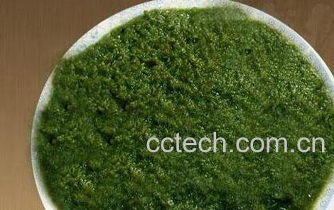 果蔬百科韭菜花怎么腌好吃-0