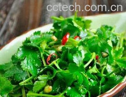 果蔬百科吃香菜的好处有哪些-0