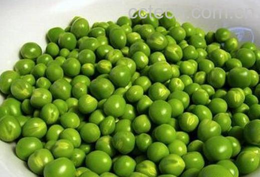 果蔬百科青豆的营养价值与功效-0