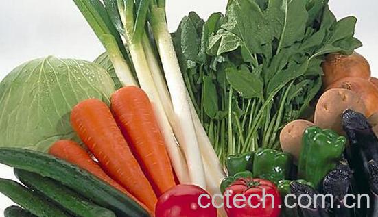 果蔬百科常见蔬菜的食用禁忌有哪些-0