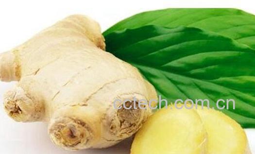 果蔬百科生姜怎么吃减肥-0