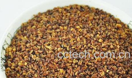 果蔬百科苦荞麦的营养价值与功效-0