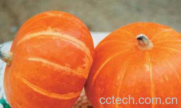 果蔬百科吃南瓜的好处有哪些-0