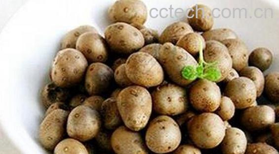 果蔬百科山药豆是什么-0