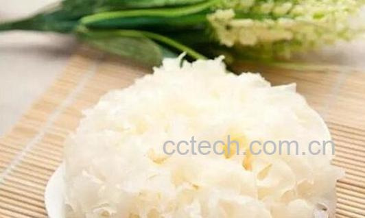 果蔬百科 银耳的营养价值与功效-0