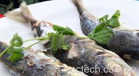 果蔬百科巴浪鱼的功效与作用-0