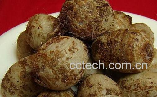 果蔬百科吃芋头的好处有哪些-0