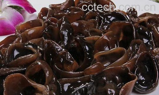 果蔬百科云耳的功效与作用-0