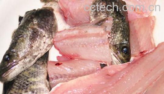 果蔬百科生鱼的功效与作用-0