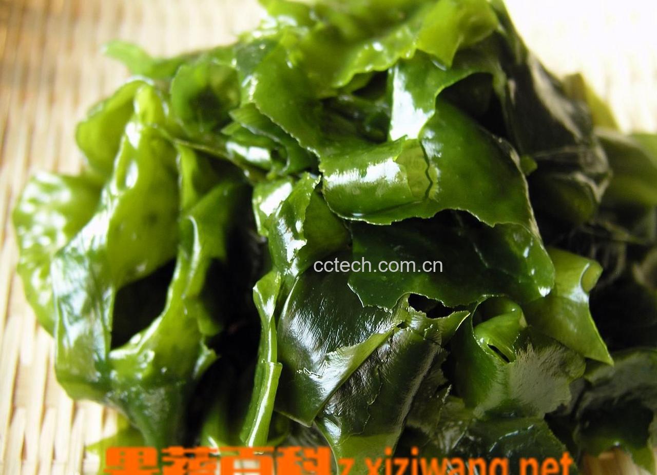 果蔬百科裙带菜如何清洗干净-0