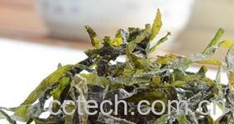 果蔬百科干海带应该如何清洗食用-0