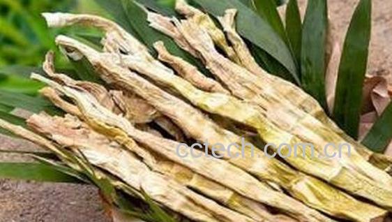 果蔬百科如何泡制笋干 笋干的常见泡法-0