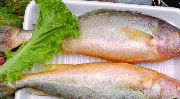 果蔬百科吃黄鱼的禁忌与注意事项-0
